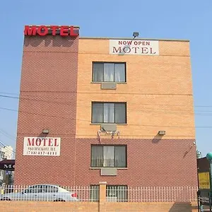 Motel Red Carpet Brooklyn New York